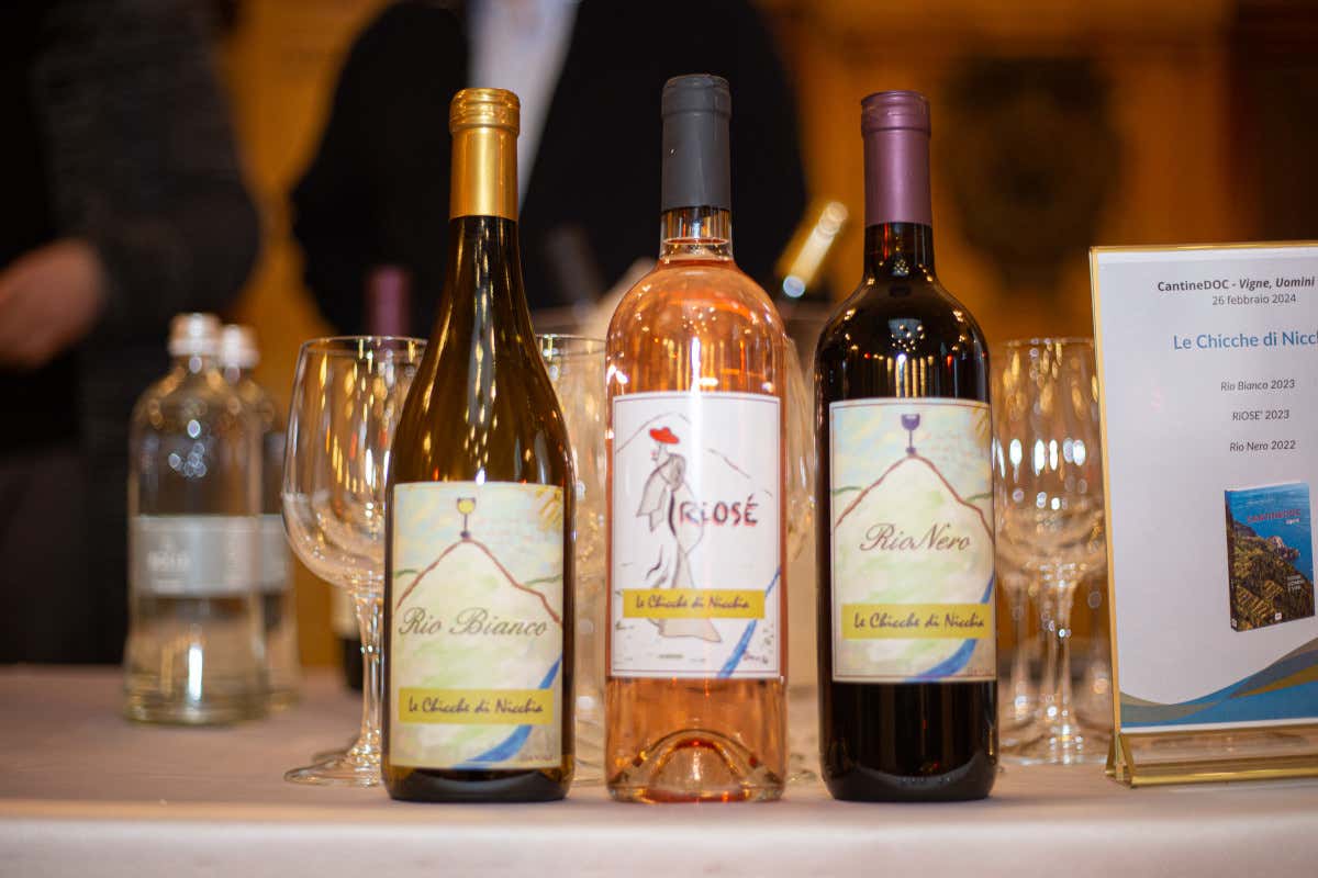 CantineDOC, la guida che ci fa scoprire le cantine liguri e chi ci sta dietro