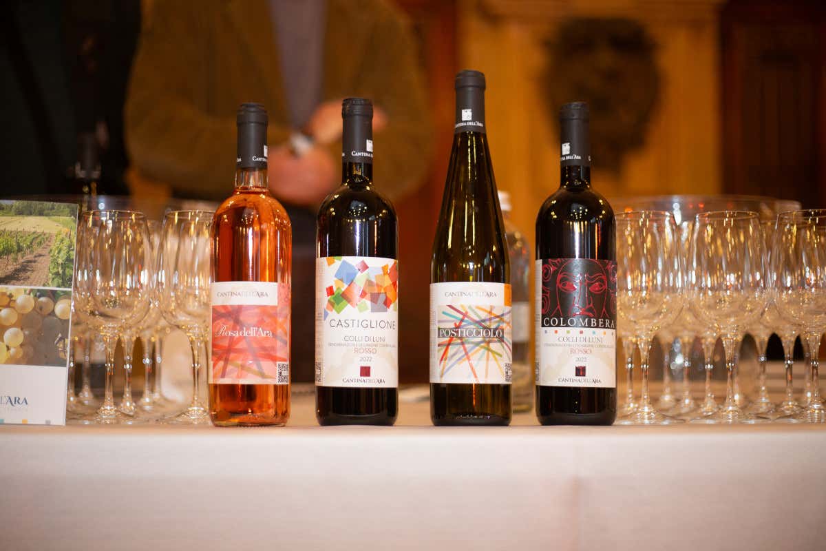 CantineDOC, la guida che ci fa scoprire le cantine liguri e chi ci sta dietro