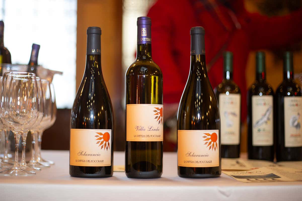 CantineDOC, la guida che ci fa scoprire le cantine liguri e chi ci sta dietro