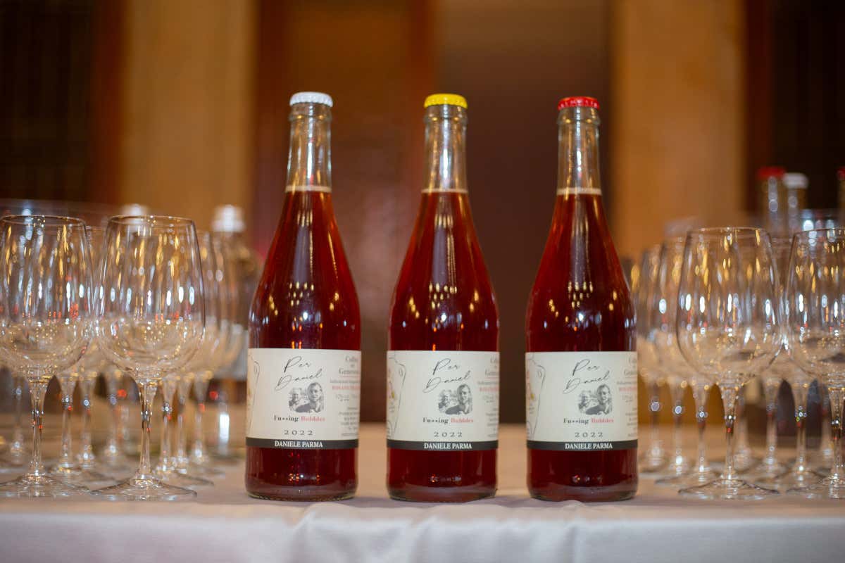 CantineDOC, la guida che ci fa scoprire le cantine liguri e chi ci sta dietro