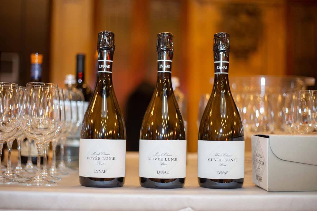 CantineDOC, la guida che ci fa scoprire le cantine liguri e chi ci sta dietro