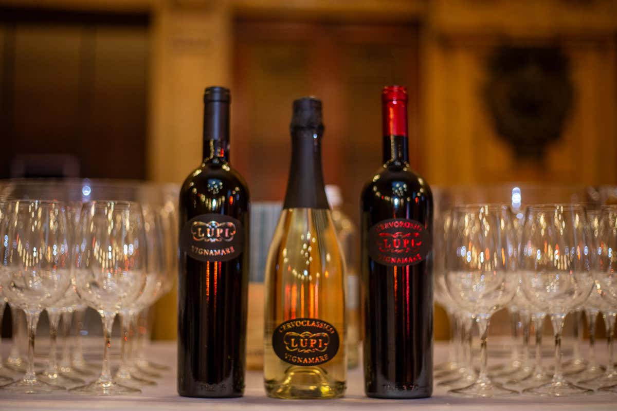 CantineDOC, la guida che ci fa scoprire le cantine liguri e chi ci sta dietro