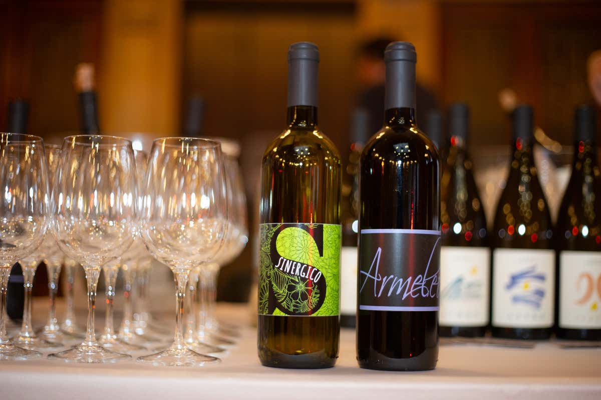 CantineDOC, la guida che ci fa scoprire le cantine liguri e chi ci sta dietro