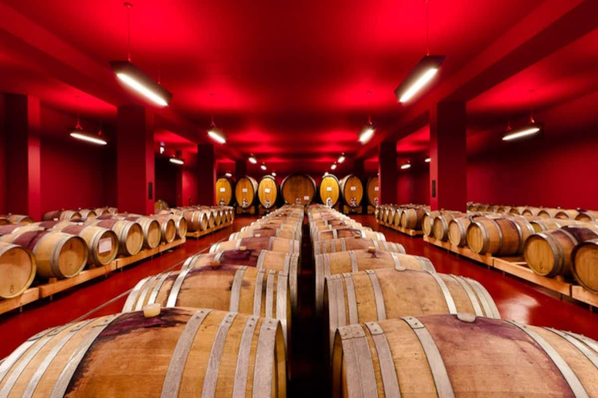 Maglen Riserva Alto Adige Pinot Nero, l’emblema dei rossi firmati Cantina Tramin Maglen Riserva Alto Adige Pinot Nero, l’emblema dei rossi firmati Cantina Tramin