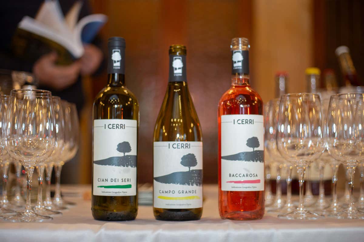 CantineDOC, la guida che ci fa scoprire le cantine liguri e chi ci sta dietro