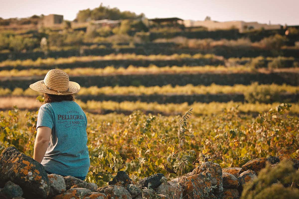 Pellegrino ha da sempre un forte legame con Pantelleria