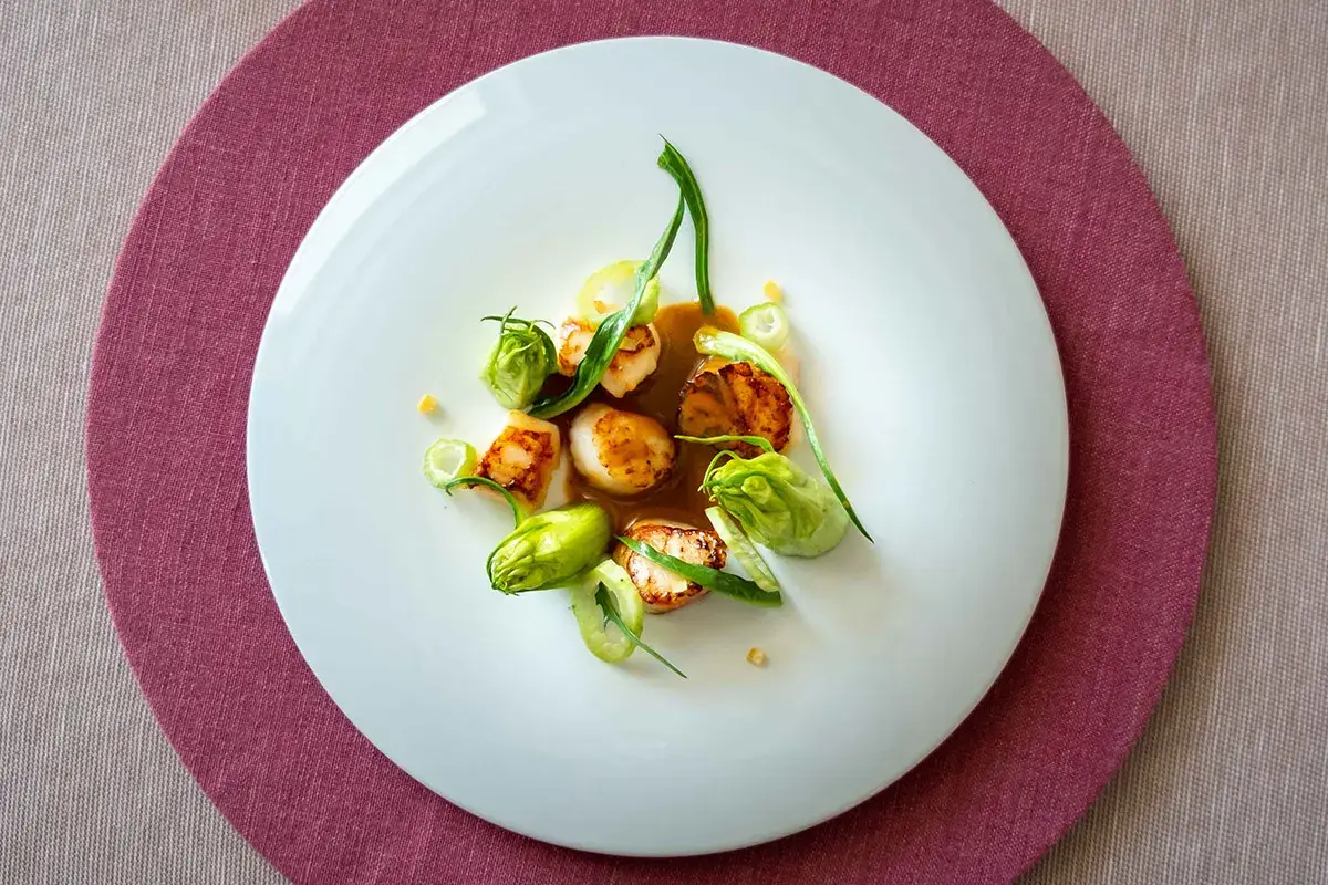 Capasante, vellutata al Vermouth e puntarella Capasante, vellutata al Vermouth e puntarella