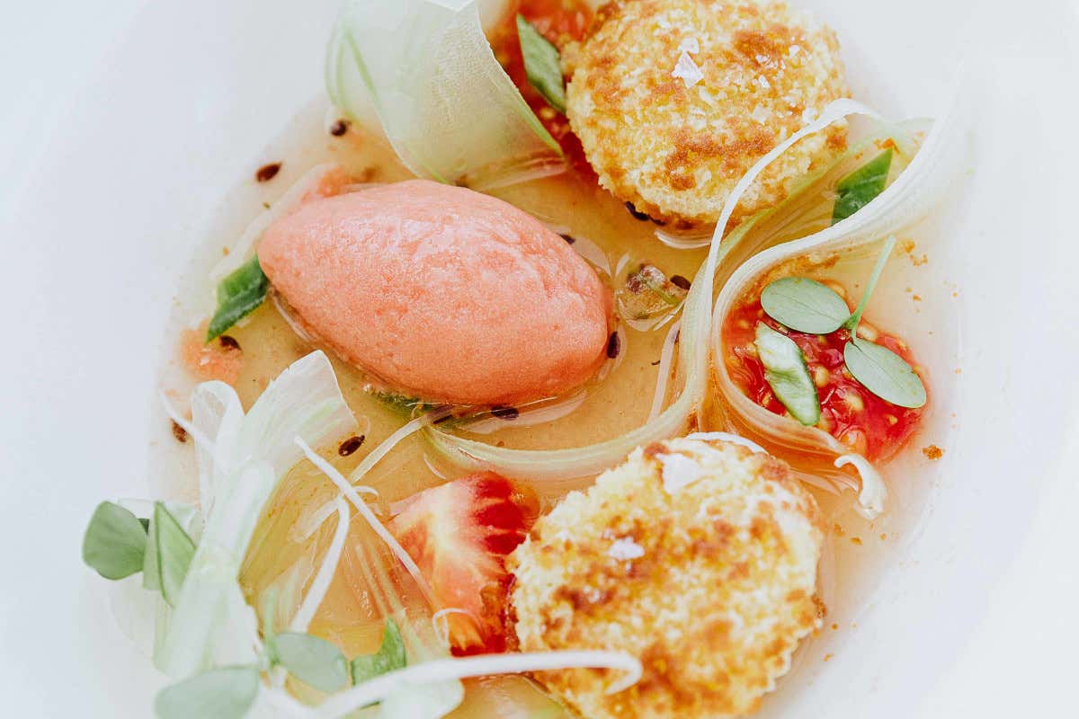 Capasanta, insalata caponata La nuova cucina domestica di Graziano Cacciopoli si gusta con il cucchiaio Capasanta, insalata caponata La nuova cucina domestica di Graziano Cacciopoli si gusta con il cucchiaio