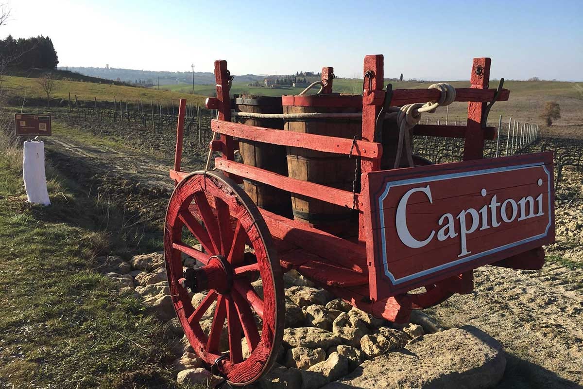 Prima di dedicarsi al vino, la famiglia Capitoni coltivava cereali Vent'anni di vino per Capitoni, quattro etichette in degustazione