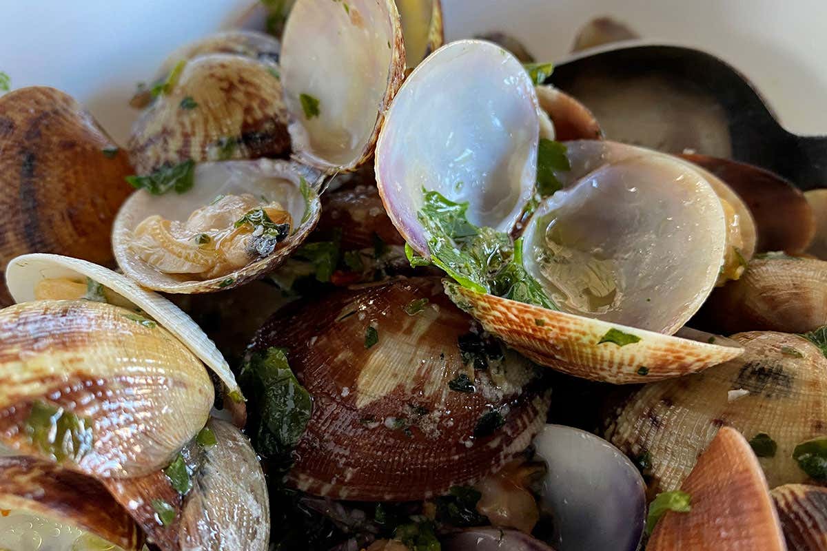 Cappa d'Oro, il tempio del pesce di mare e laguna