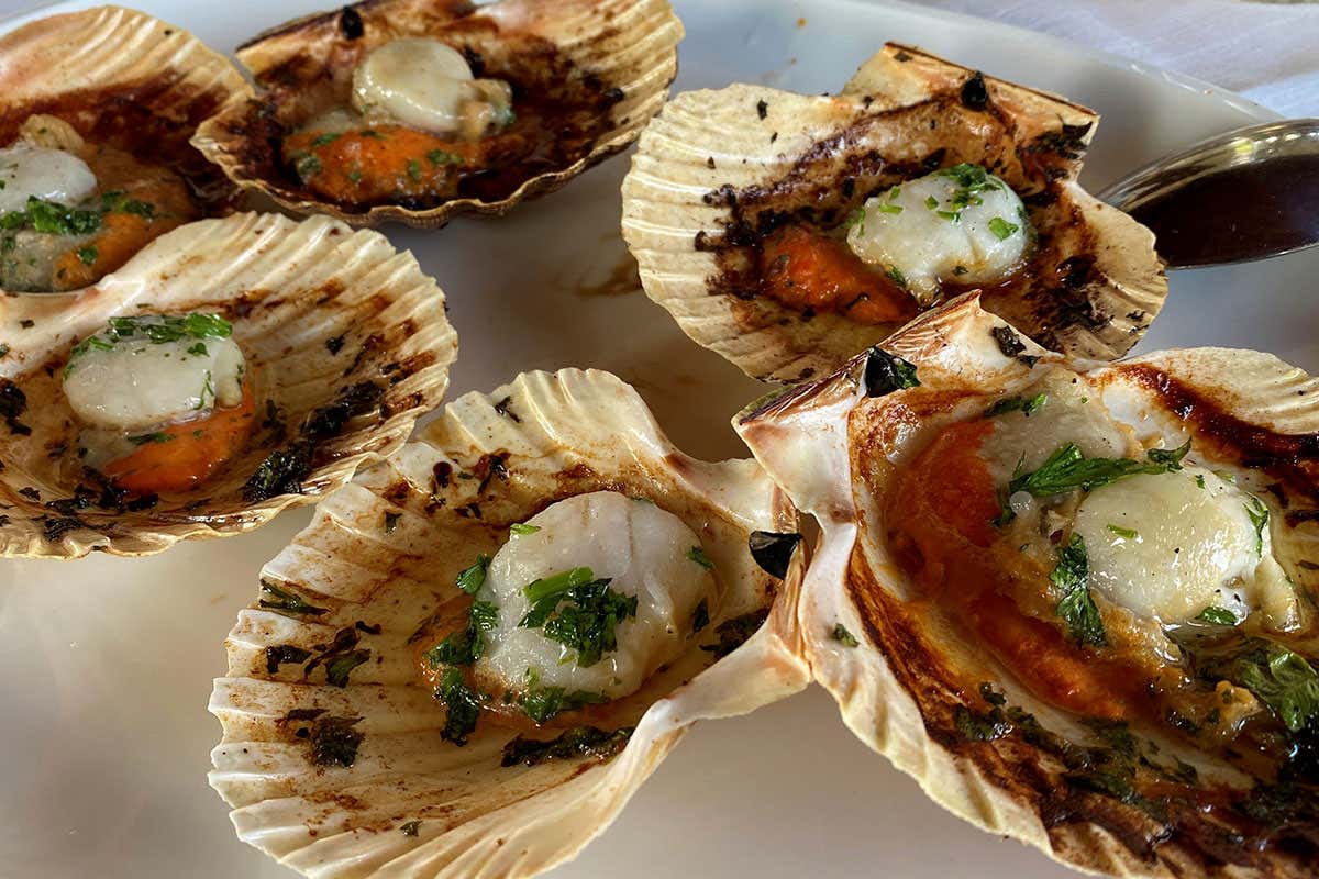 Cappa d'Oro, il tempio del pesce di mare e laguna