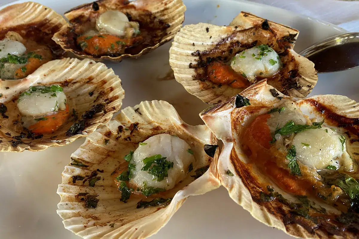 Cappa d'Oro, il tempio del pesce di mare e laguna