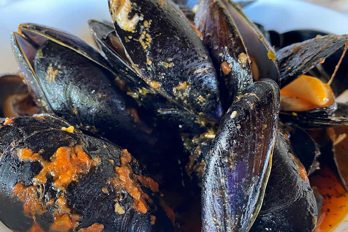 Cappa d'Oro, il tempio del pesce di mare e laguna