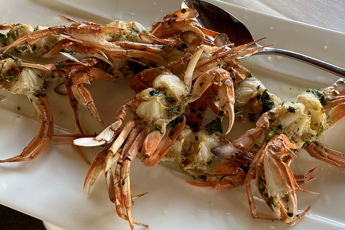 Cappa d'Oro, il tempio del pesce di mare e laguna