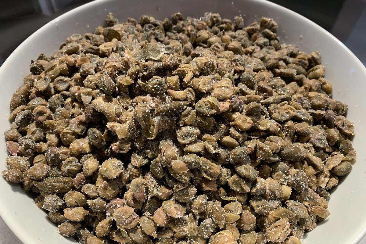 I capperi di Pantelleria Non solo capperi e Zibibbo: il futuro dell'agroalimentare a Pantelleria