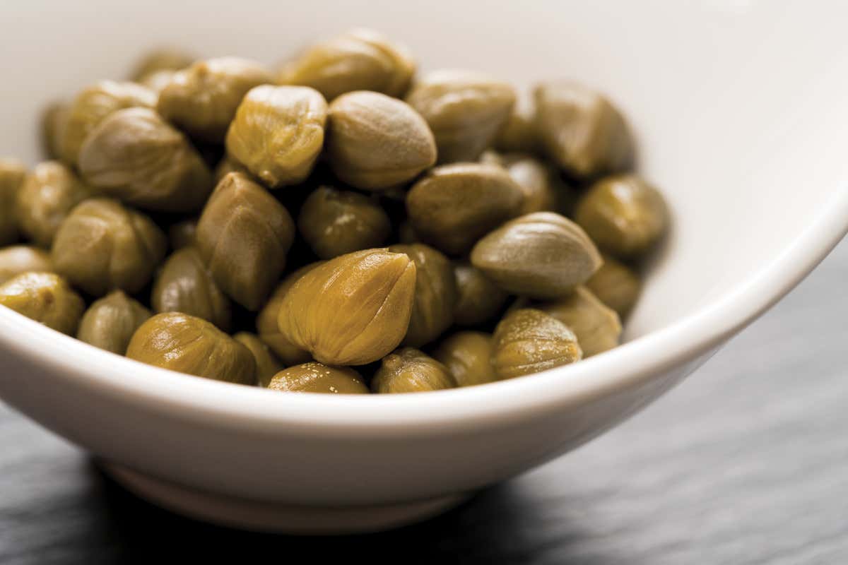 Il cappero di Pantelleria è a rischio: manca la manodopera per la raccolta Il cappero di Pantelleria è a rischio: manca la manodopera per la raccolta