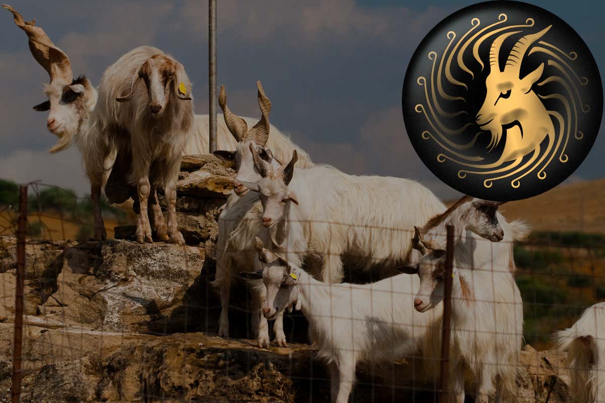 Brut 700 Lost Edition: con Cusumano  un brindisi per la biodiversità