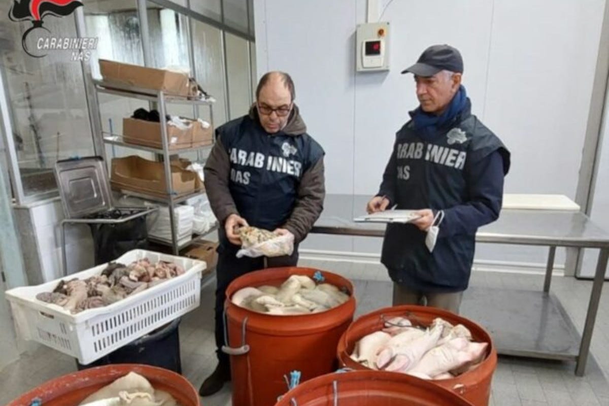 Il sequestro dei Nas Sequestrata una tonnellata di carne a Palermo senza tracciabilità