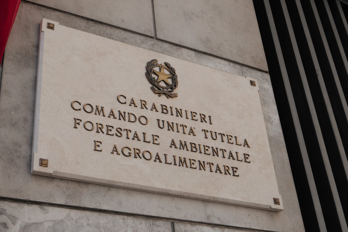 Carabinieri scoperte frodi alimentari per 34 milioni di euro nel 2022