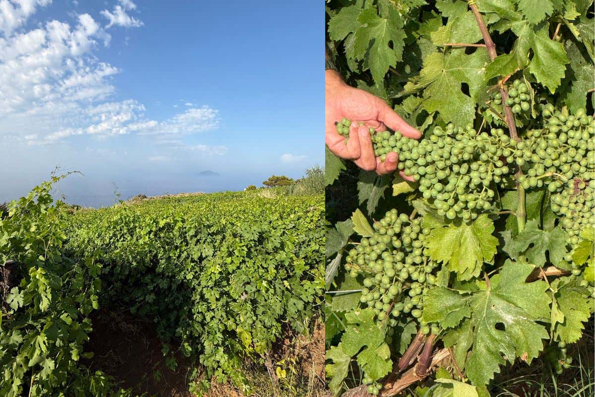 Island hopping alle Eolie: un viaggio tra le meraviglie di un arcipelago mitico Island hopping alle Eolie: un viaggio tra le meraviglie di un arcipelago mitico