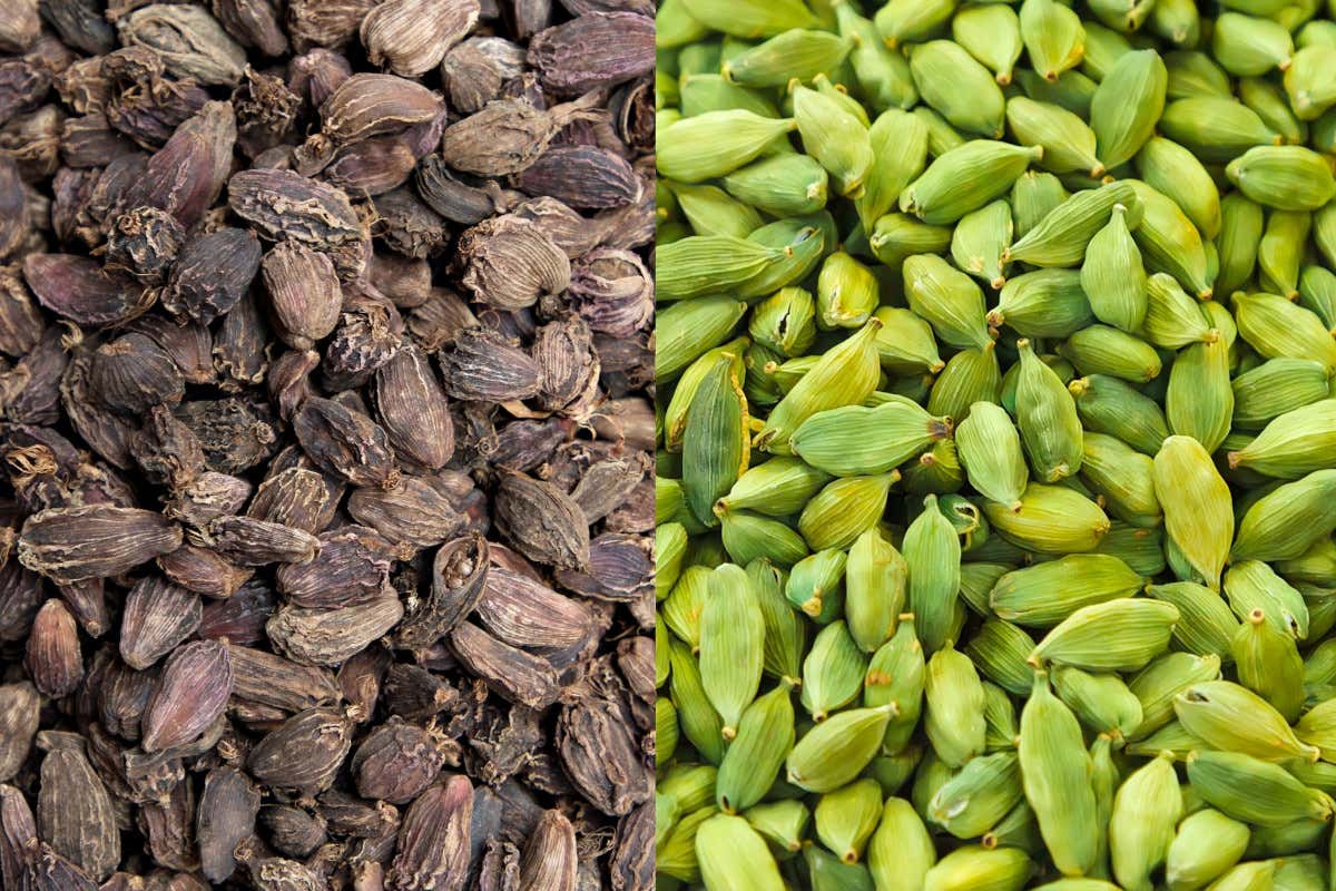 Tutto sul cardamomo, la spezia che porta salute e creatività in cucina Tutto sul cardamomo, la spezia che porta salute e creatività in cucina