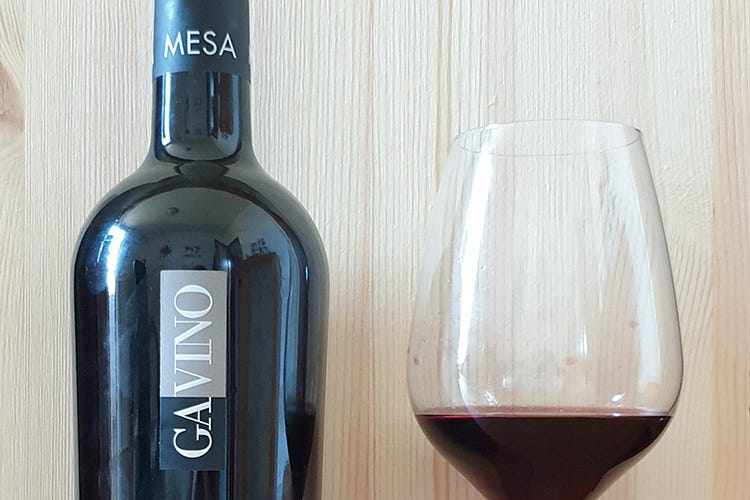 Ripartiamo dal vino Gavino 2016 Mesa