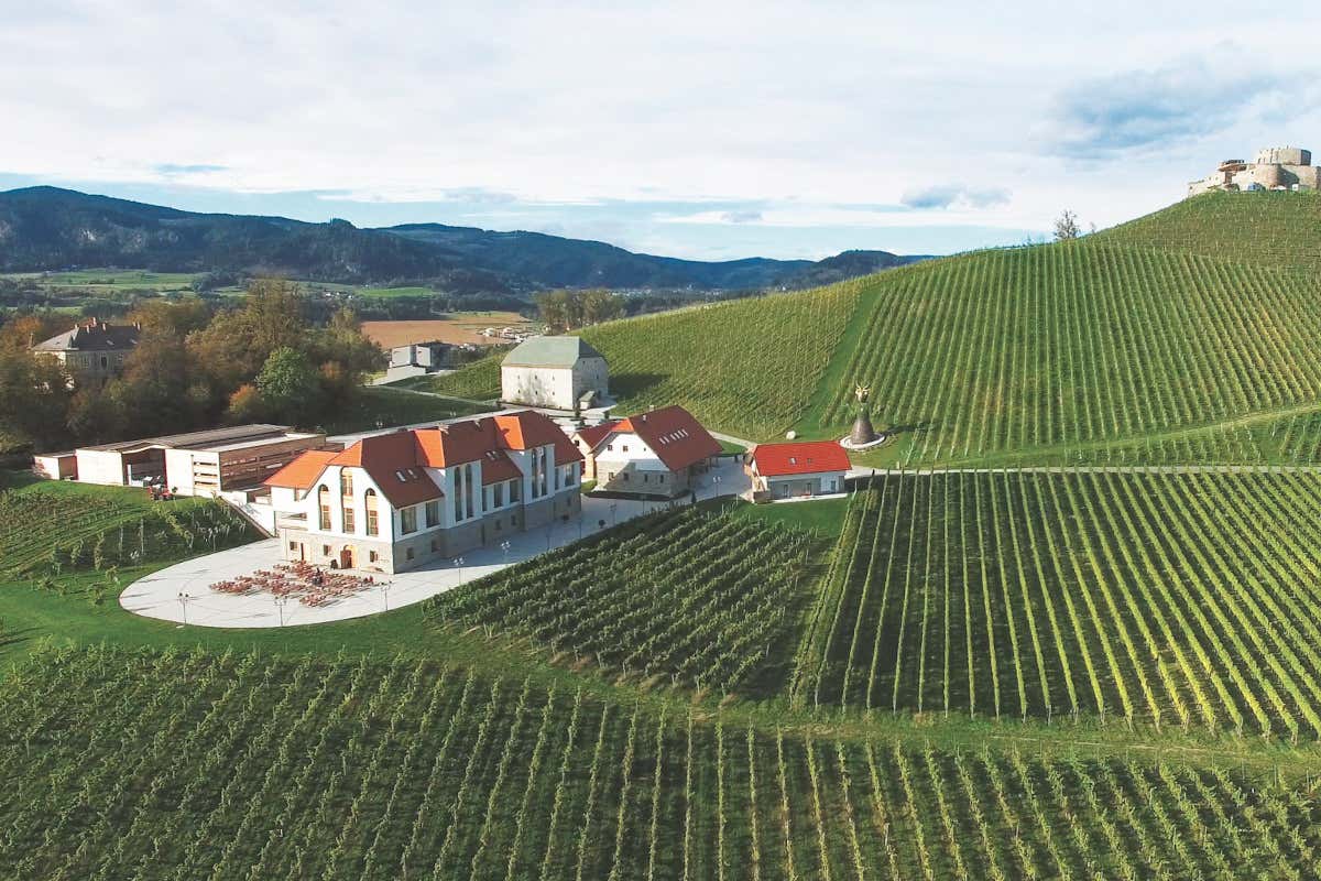 TrippelGUT In Carinzia risorge il vino. Spunto per i wine lovers