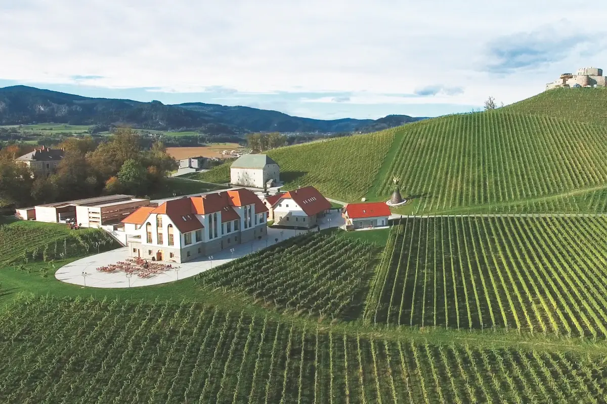 TrippelGUT In Carinzia risorge il vino. Spunto per i wine lovers