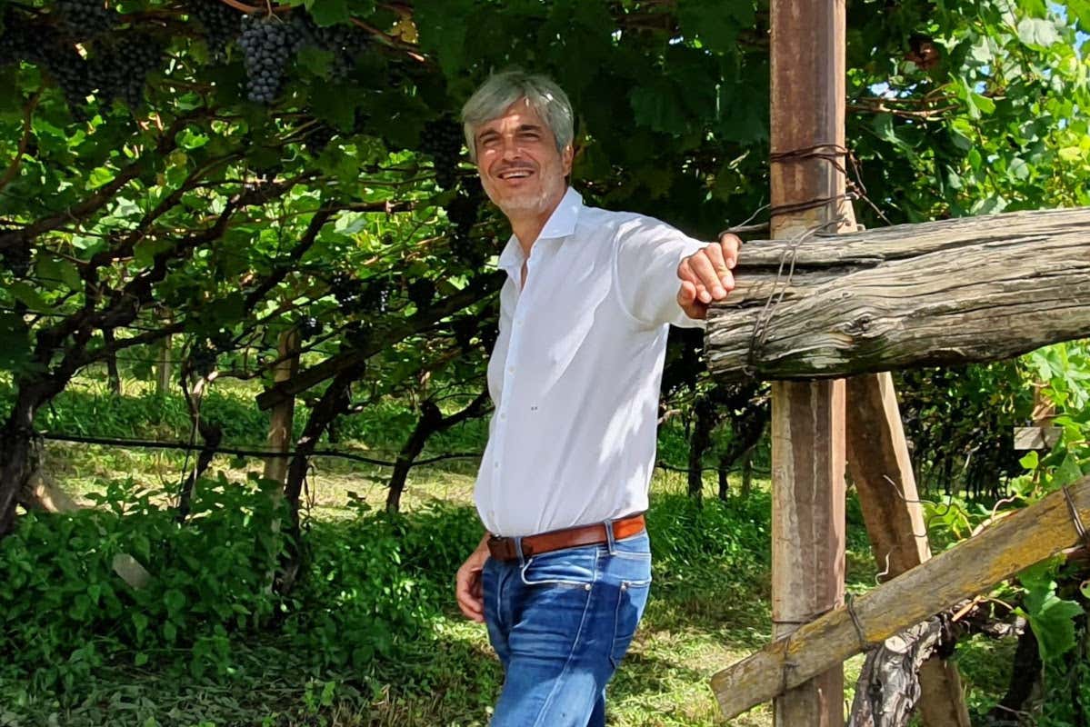 Carlo Ferretti Alto Adige, Borgogna, Napa Valley, Bolgheri, c'è un filo rosso di prestigio