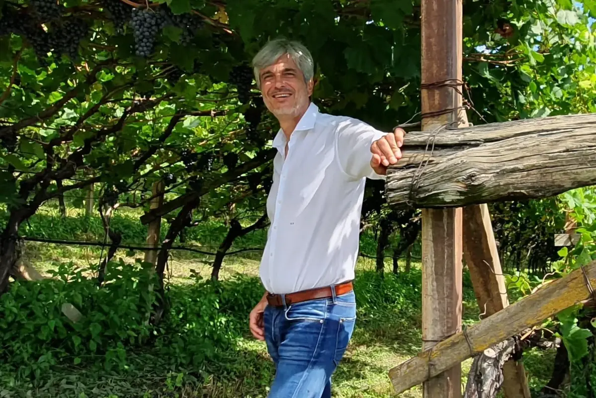 Carlo Ferretti Alto Adige, Borgogna, Napa Valley, Bolgheri, c'&egrave; un filo rosso di prestigio