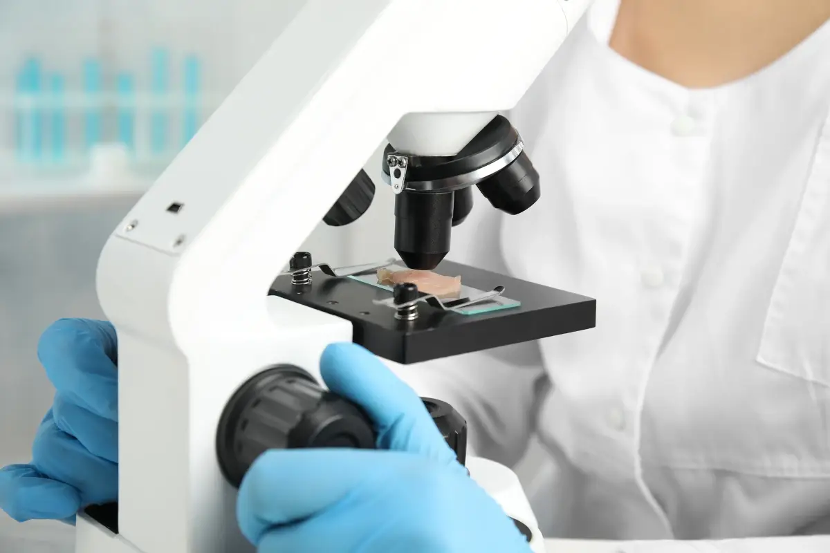 Padre e figlio, veterinari, coprivano le irregolarit&agrave; nei macelli Chiudono un occhio sulla listeria nella carne, arrestati due veterinari a Cremona