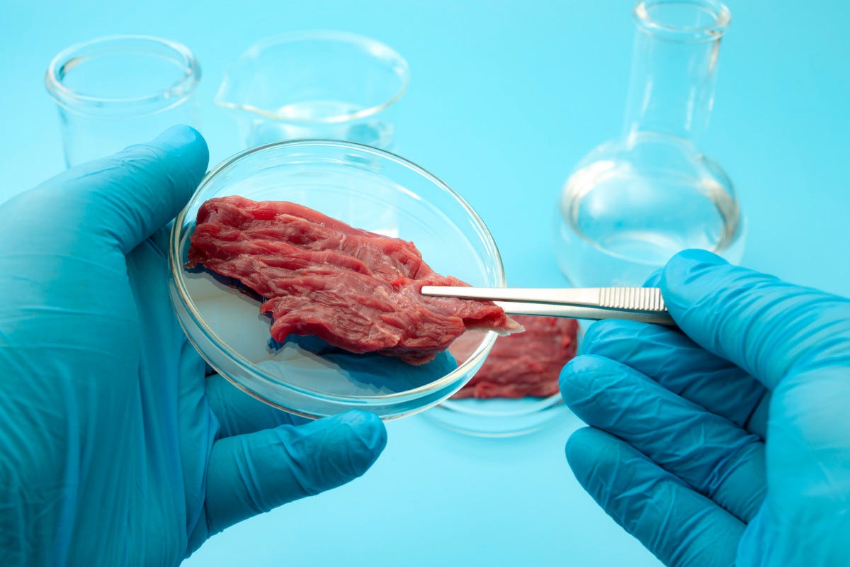 A Singapore in arrivo la carne sintetica Nel 2024 nei ristoranti di Singapore si potrebbe mangiare la carne ibrida