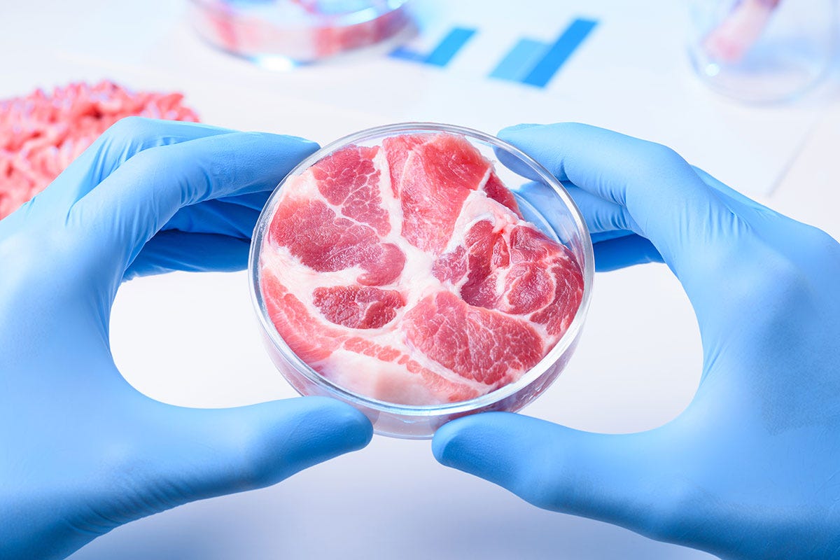 Insetti e carne sintetica: cibo o affare del futuro?
