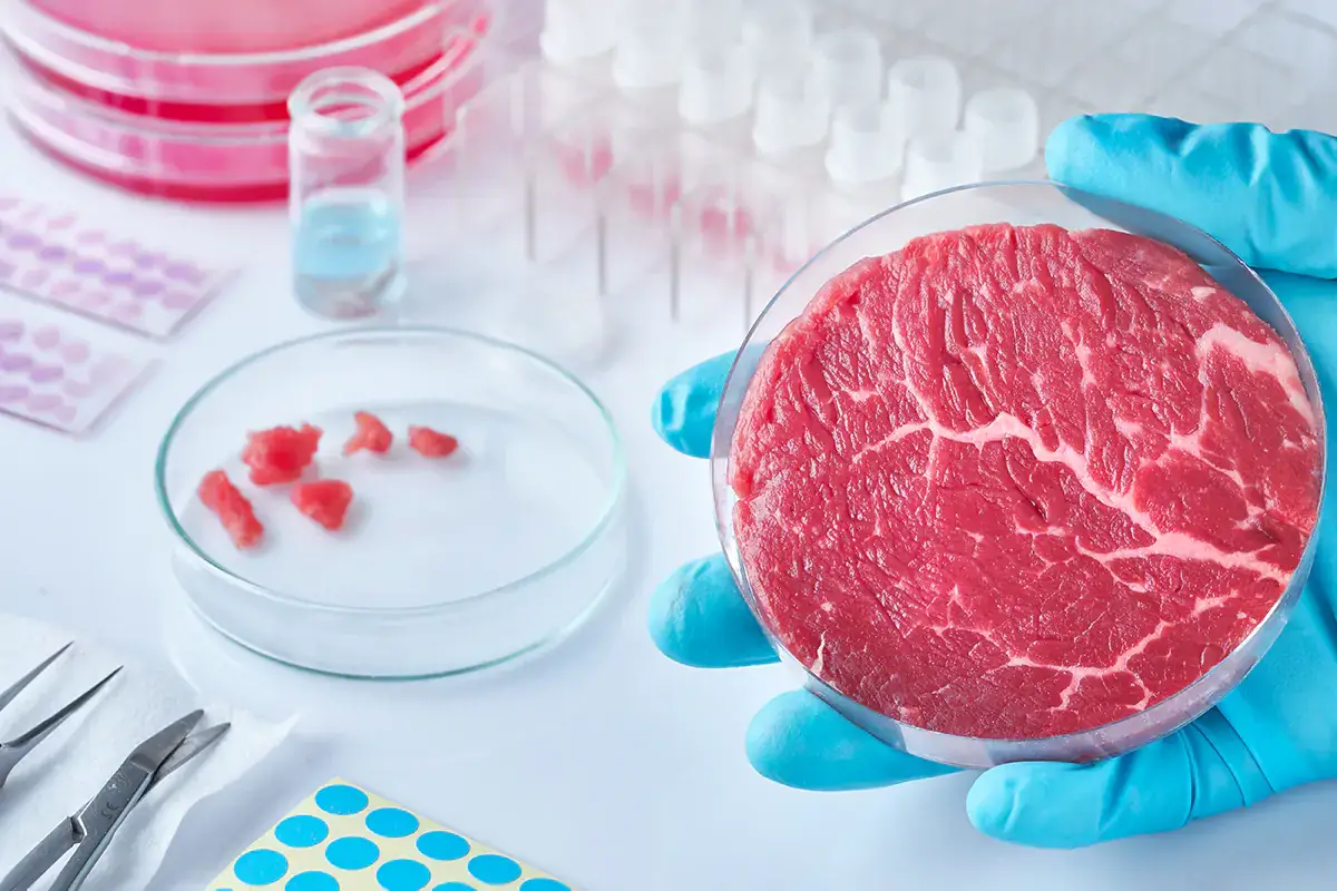 I cibi del futuro: ecco le previsioni di consumo di insetti e carne sintetica