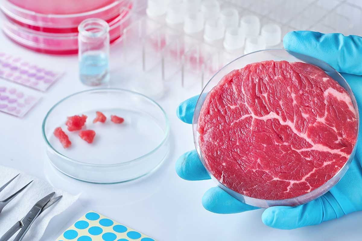 Carne sintetica sì o carne sintetica no? Anche gli esperti sono divisi Carne sintetica, dagli esperti dubbi su opportunità e sostenibilità per la filiera