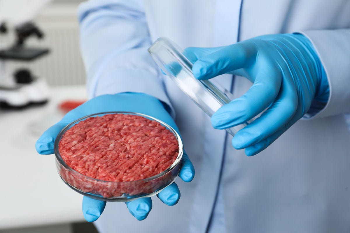L'84% degli italiani dice no alla carne sintetica Carne sintetica, italiani uniti: il no con 200mila firme