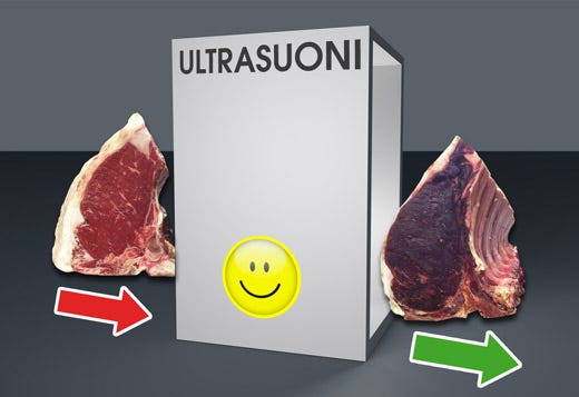 Ultrasuoni: carne più tenera e digeribile 
Nuova frontiera della cucina del futuro