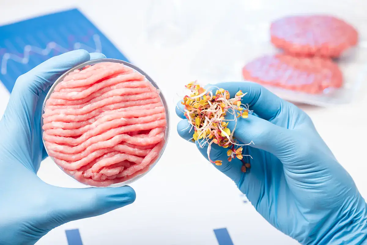 Il 95% degli italiani ha gi&agrave; bocciato i surrogati della carne qualora arrivassero sul mercato nazionale Carne vegetale, che interessi ci sono dietro? Un libro denuncia fa scattare il dibattito
