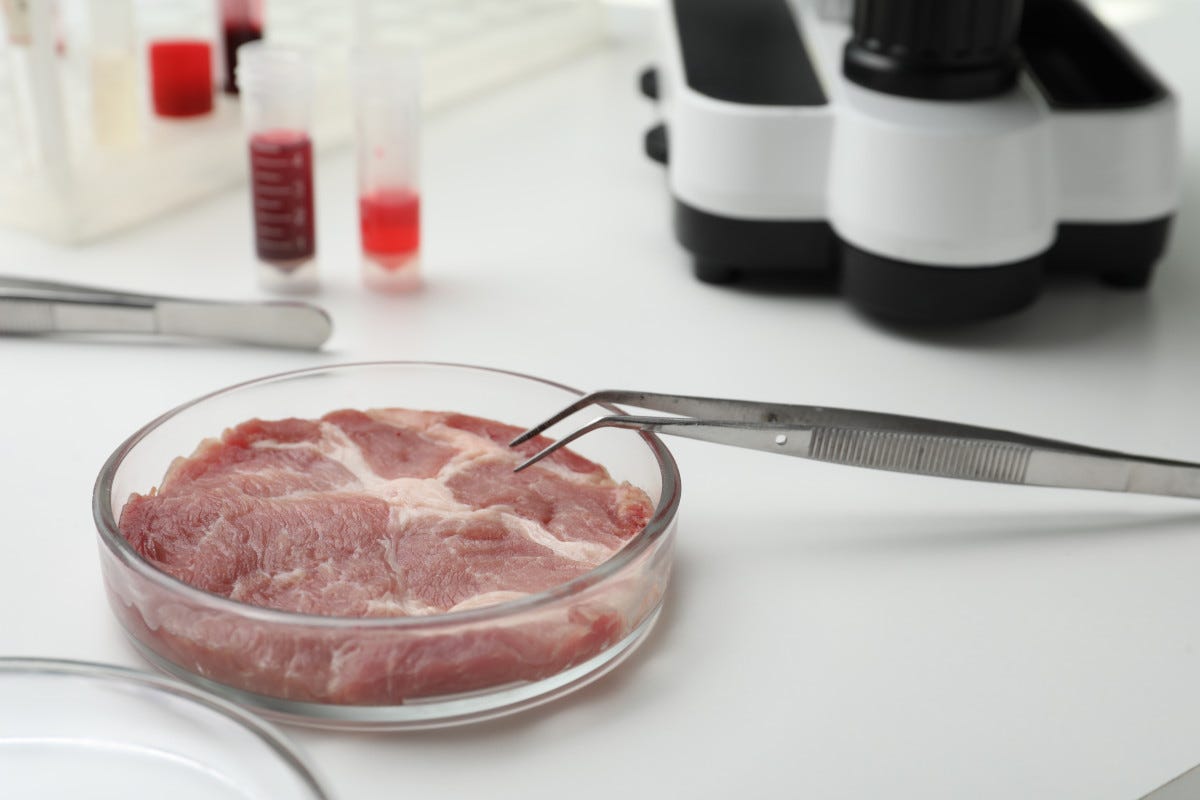 La carne sintetica non piace all’Europa e alla World Farmers’ Organization