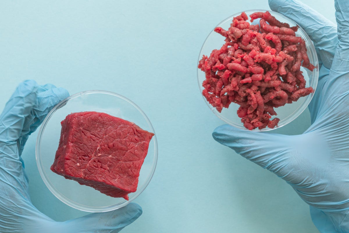 L'Accademia della Fiorentina dice no alla carne da laboratorio