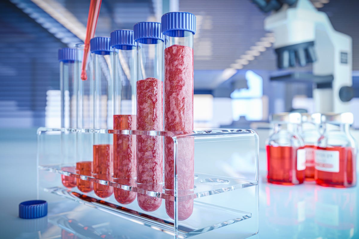 Carne coltivata ora è possibile coltivare cellule staminali immortali all'infinito