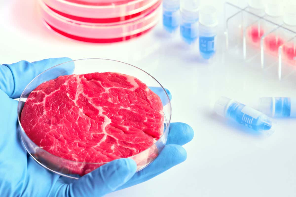 Carne sintetica. Le associazioni: inquina è solo business