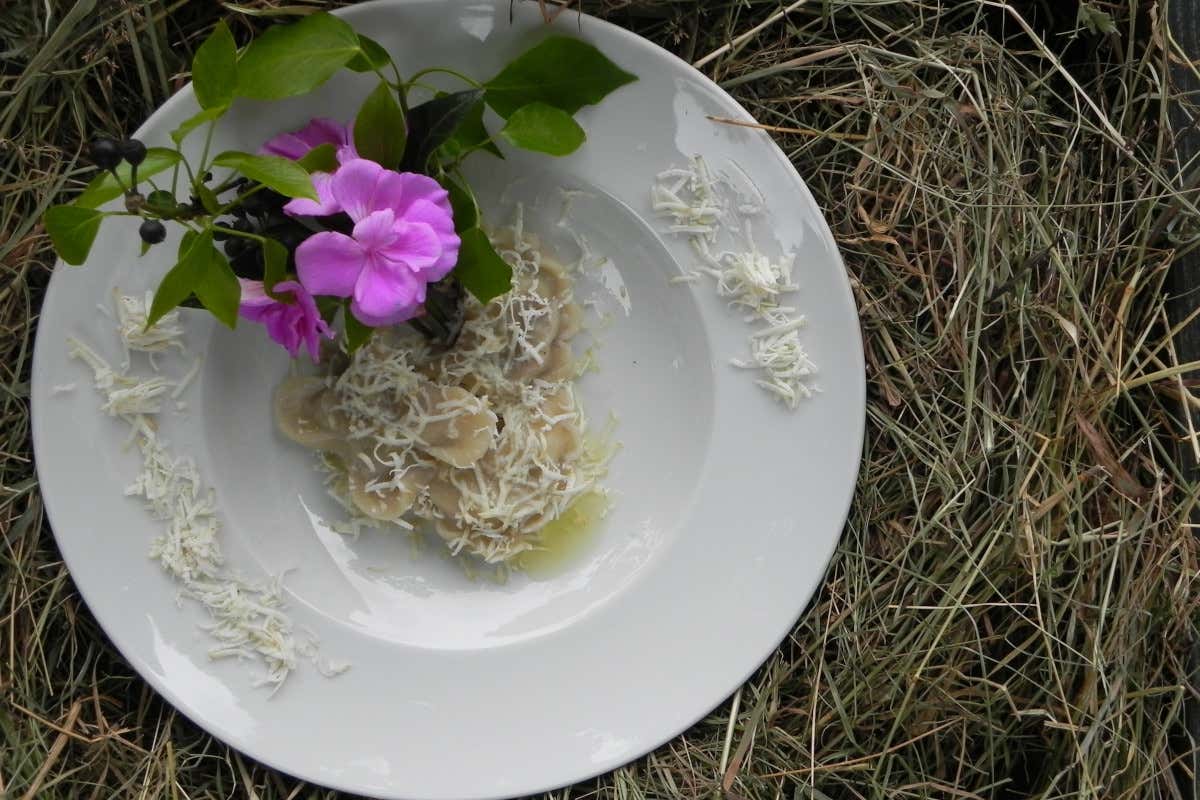 Le erbe spontanee segnano cucina, stagioni e pratiche quotidiane della Carnia