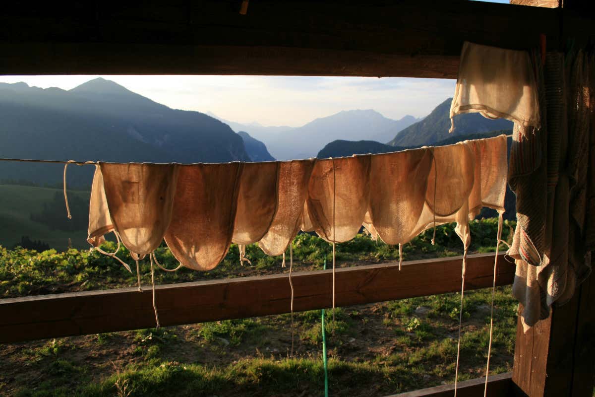 Estate in malga con Visit Zoncolan tra escursioni guidate e sapori antichi