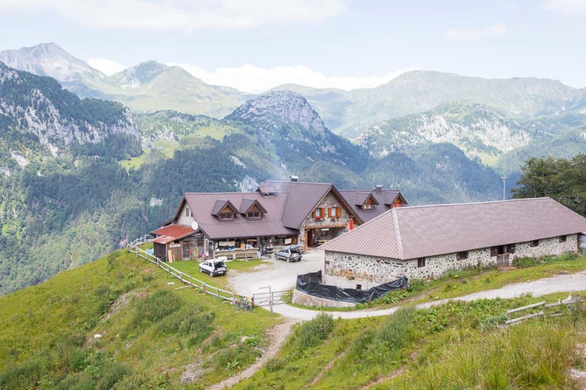 Estate in malga con Visit Zoncolan tra escursioni guidate e sapori antichi