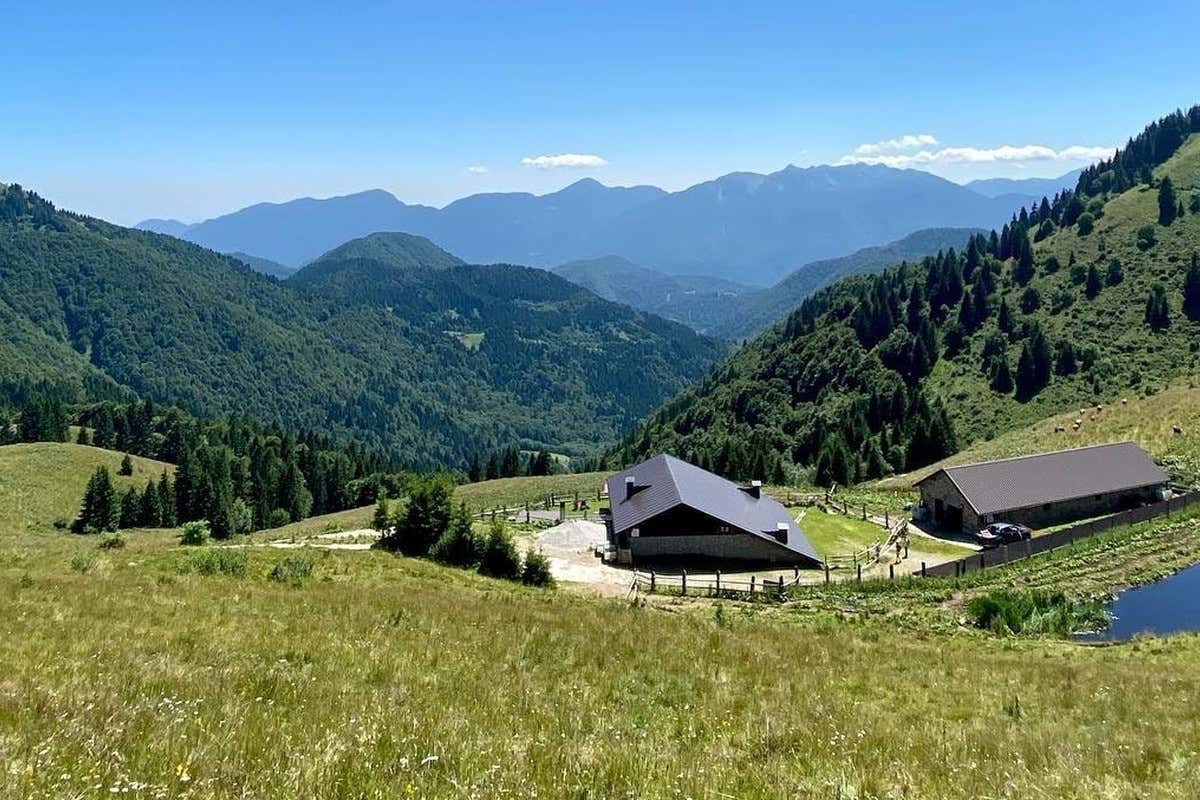 Estate in malga con Visit Zoncolan tra escursioni guidate e sapori antichi