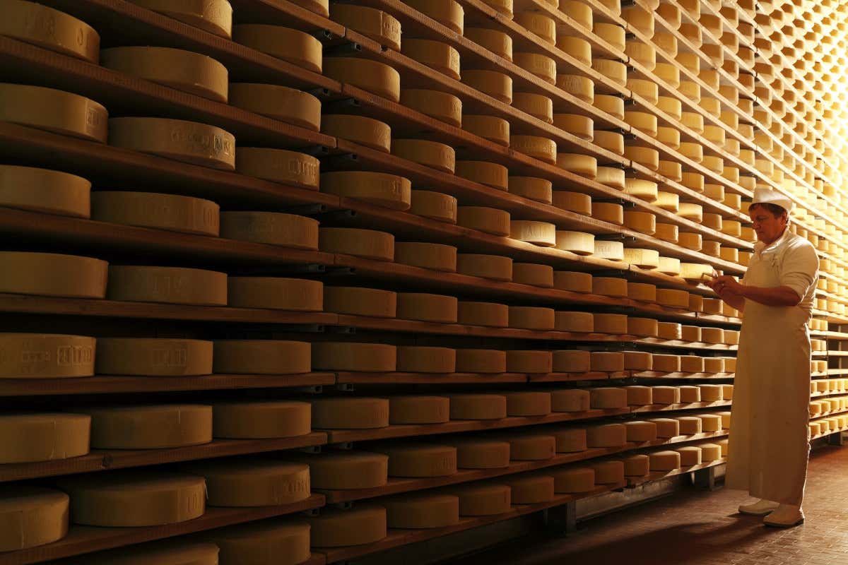 Estate in malga con Visit Zoncolan tra escursioni guidate e sapori antichi