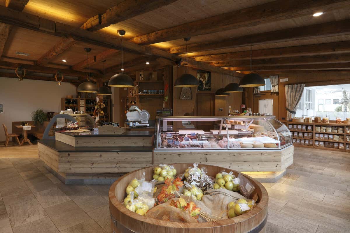 Estate in malga con Visit Zoncolan tra escursioni guidate e sapori antichi