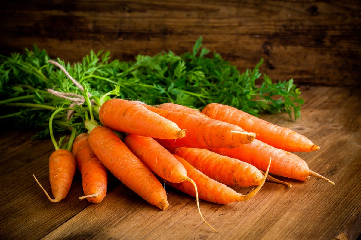 Dal 2003 il mondo dedica una festa alla carota: l'International Carrot Day Dal soffritto alle ricette gourmet: la carota è regina della tavola