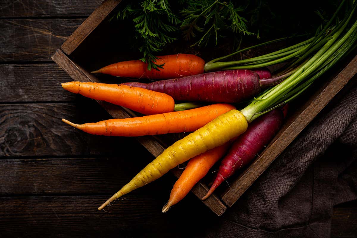Le carote sono disponibili in molte versioni dalle diverse sfumature Dal soffritto alle ricette gourmet: la carota è regina della tavola